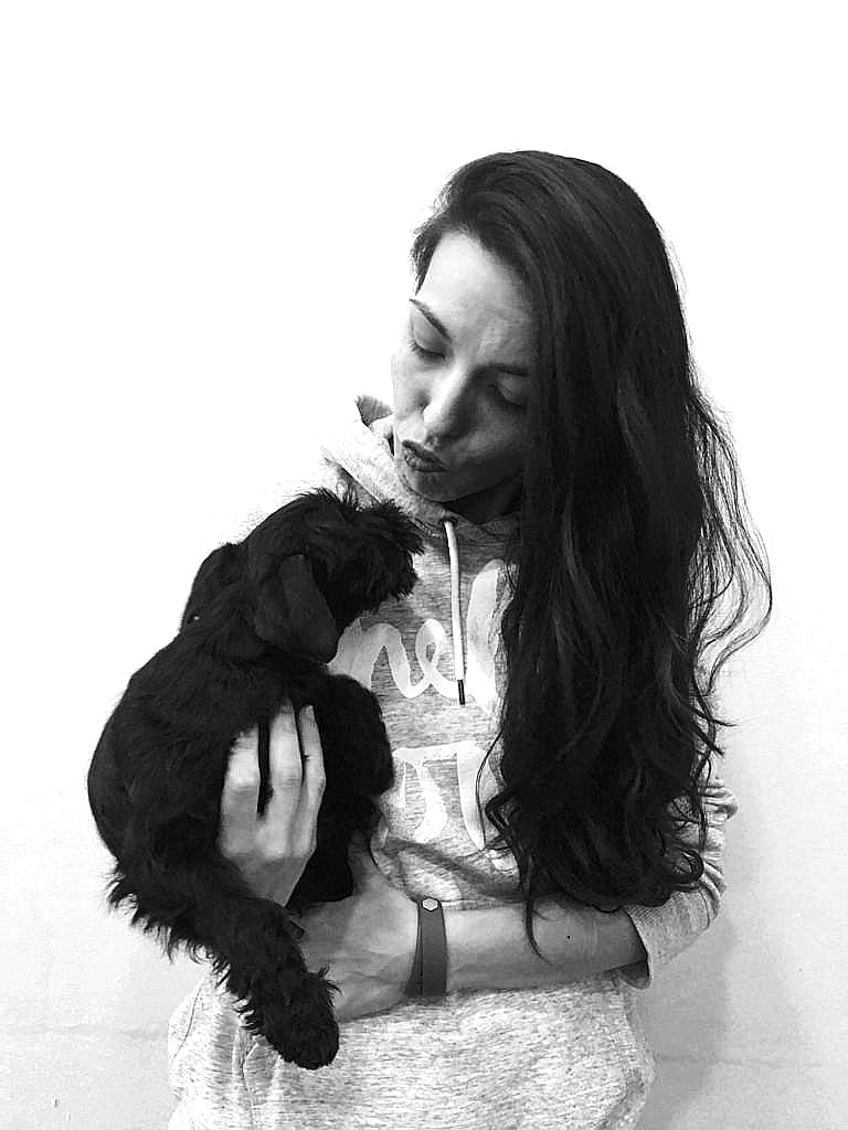 Nós somos 'Dogs in the City'.